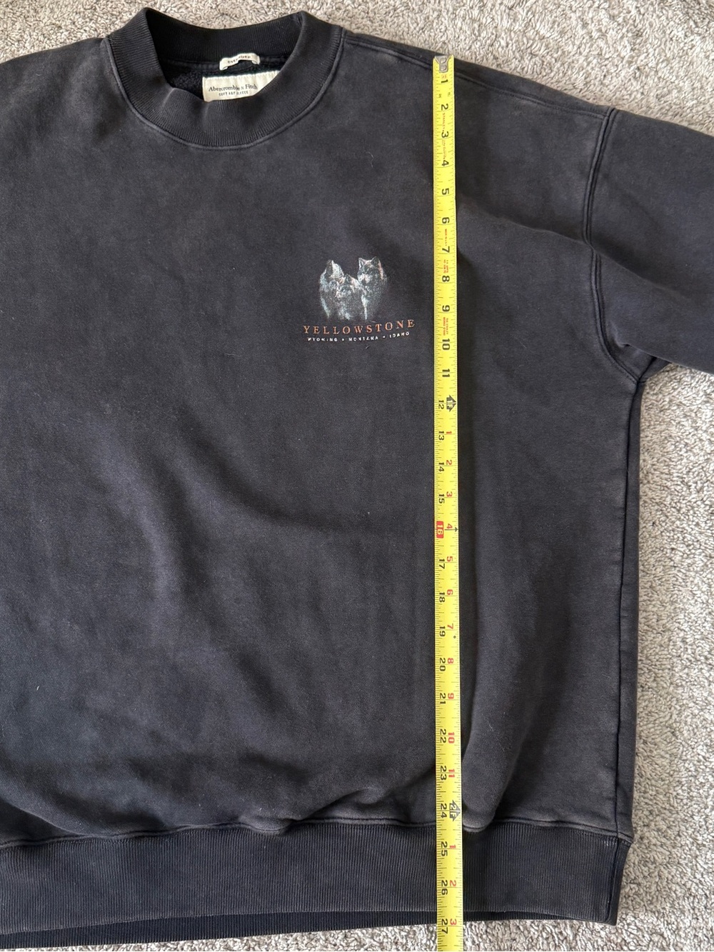 Abercrombie Soft AF Oversized Fleece Vintage Yellowstone Graphic Size Large - Picture 5 of 8